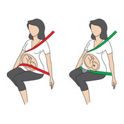 BeSafe Pregnant iZi fix